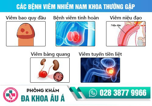 BỆNH NAM KHOA THƯỜNG GẶP