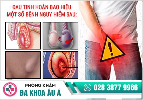 Đau tinh hoàn là dấu hiệu nhiều bệnh nguy hiểm