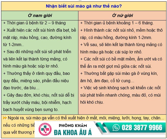 cách nhận biết sùi mào gà