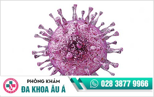 mụn rộp sinh dục nữ