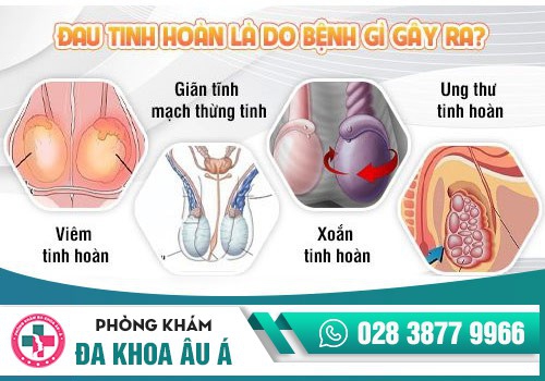 Nguyên nhân đau tinh hoàn