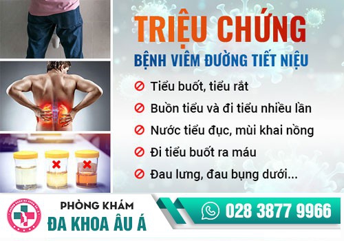 Viêm đường tiết niệu ở nam và dấu hiệu nhận biết?