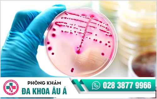 thời gian ủ bệnh lậu thời gian ủ bệnh lậu