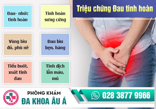 Viêm tinh hoàn, viêm mào tinh hoàn