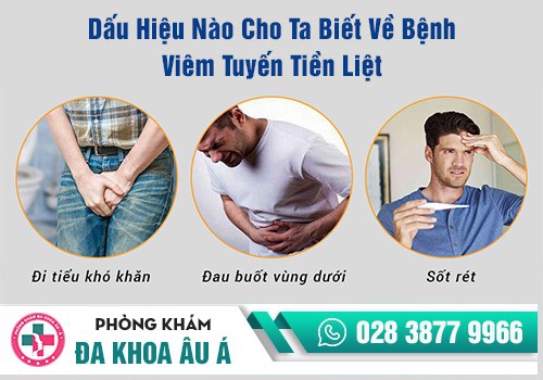 NGUYÊN NHÂN GÂY BỆNH VIÊM TUYẾN TIỀN LIỆT