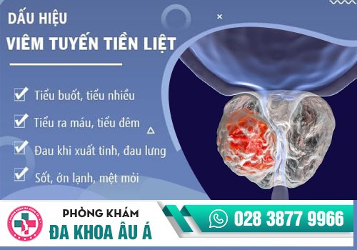 Biểu hiện viêm tuyến tiền liệt ở nam giới