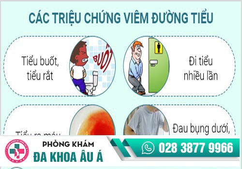 Các triệu chứng viêm đường tiểu